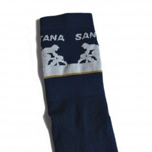 Santana Socken 3.jpg